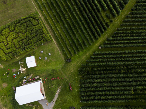 Burtt's Orchard, Cabot Vermont