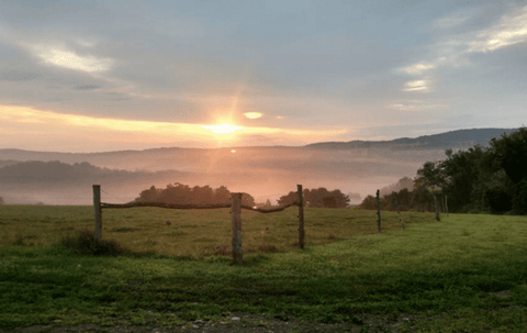 Sunset at Coon Brothers Farm