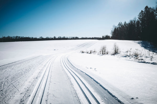 Craftsbury Trails