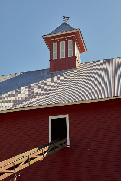 Liberty Hill Farm in Rochester Vermont gets a new Cupola.