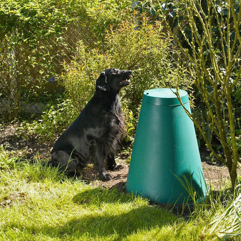 Dog and Composter