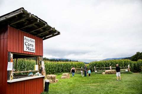 Percy Farm Corn Maze