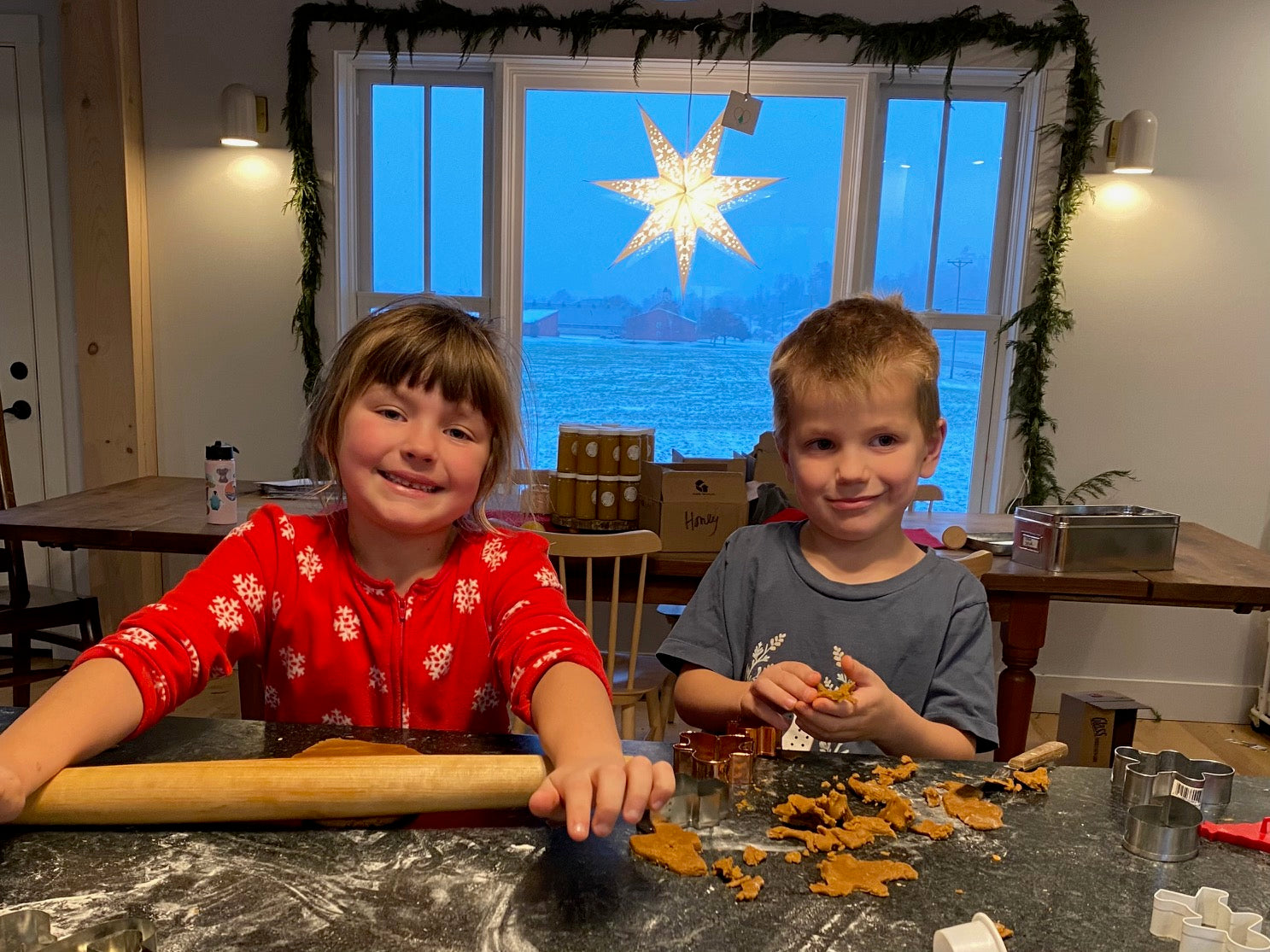 Conant Family Gingerbread Cookies