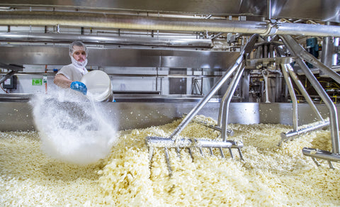Curds move to a finishing table where salt is added.