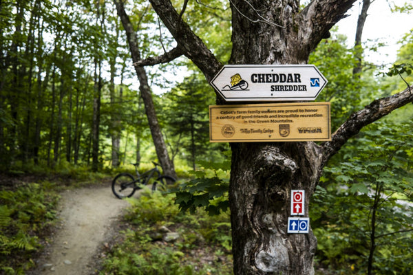 Mountain Biking Trails in Stowe Vermont