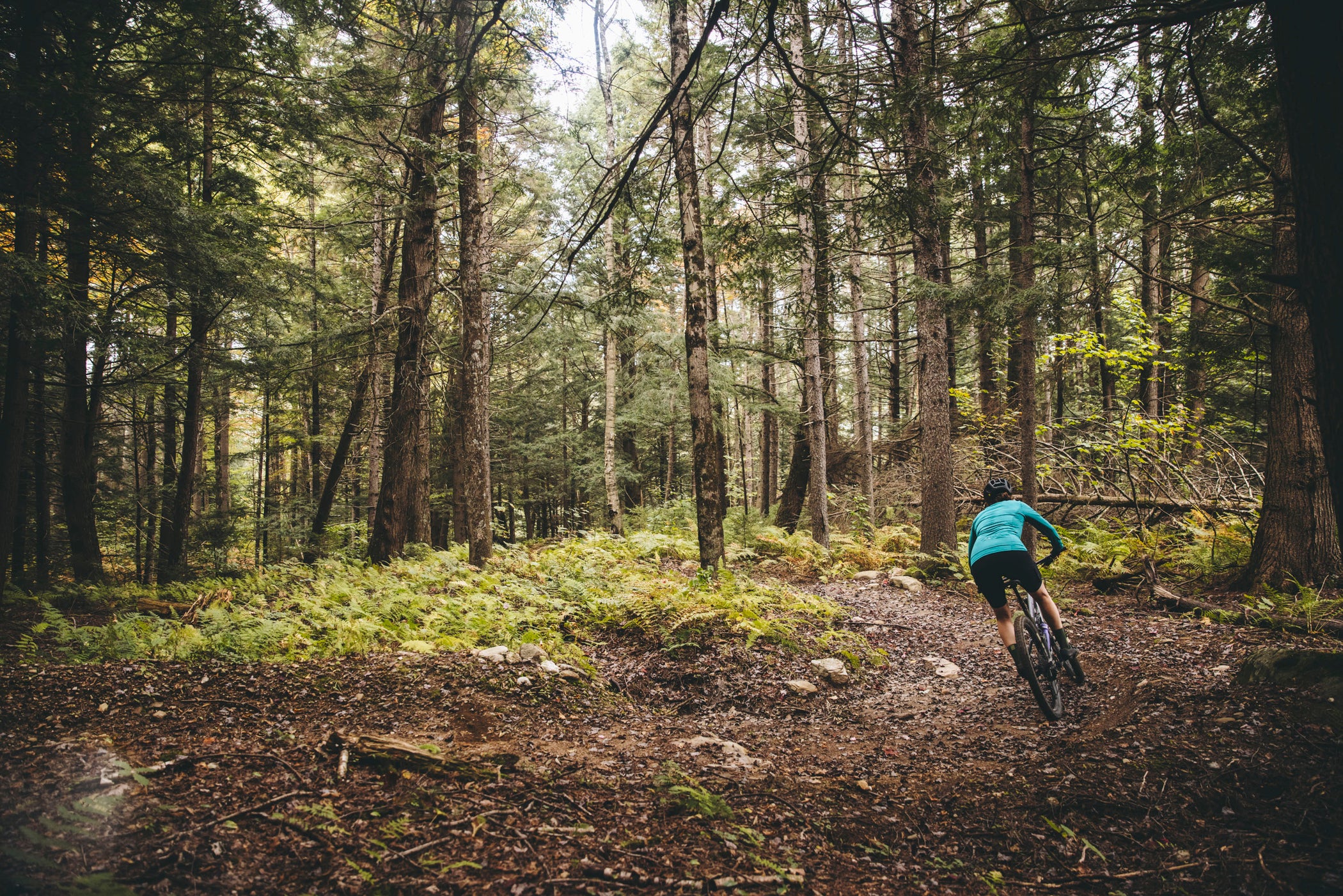 Mountain Biking