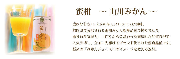 旬しぼり　蜜柑　山川みかん　100%ジュース　ストレートジュース　国産