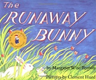 Book cover for "The Runaway Bunny" by Margaret Wise Brown, illustrated by Clement Hurd. The cover shows a mother bunny and her baby bunny in a field of tall grass and wildflowers.