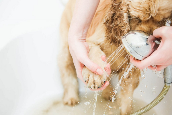Easier Bath Time for Kids and Pets