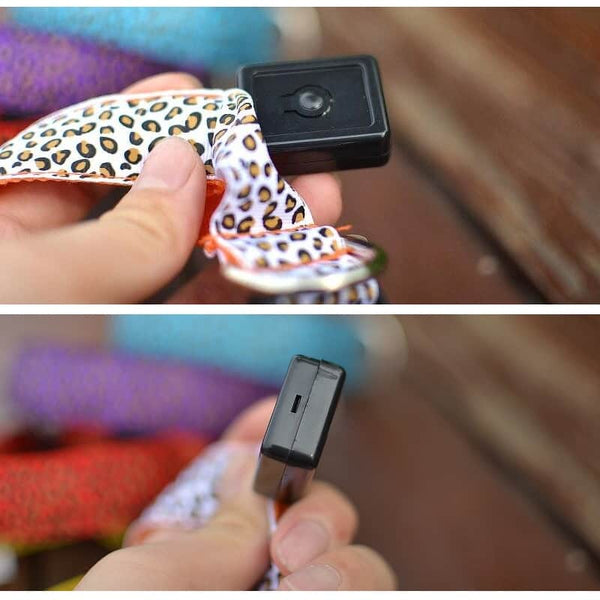 USB Leopard Dog Collar