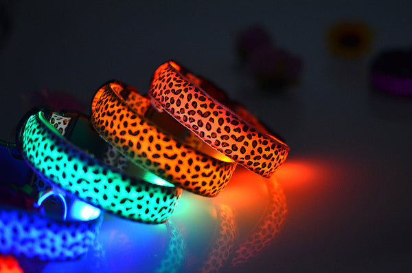 4 Different Colored Leopard Print LED Dog Collar