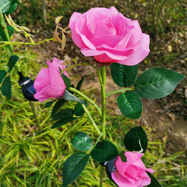 Pink Solar Powered Roses