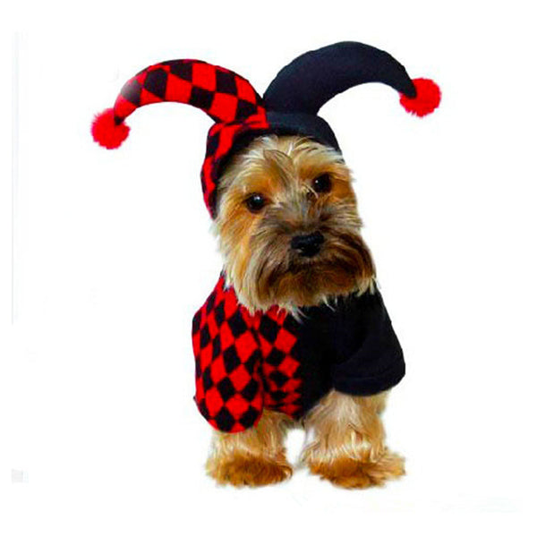 Dog In Jester Halloween Costume