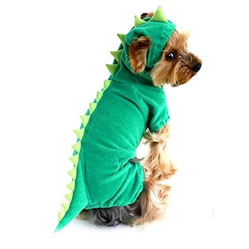 Dog in Stegosaurus Costume