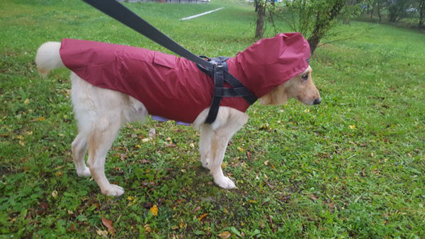 Red Dog Parka Coat With Hood