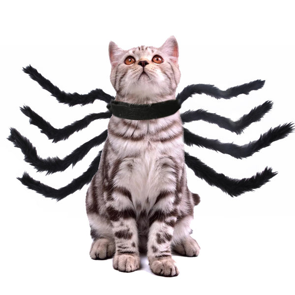Black Cat Spider Costume