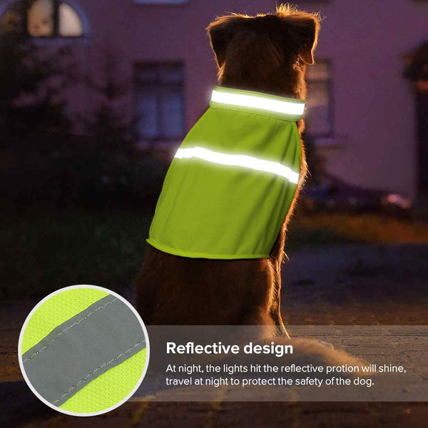 Green Dog Reflective Vests