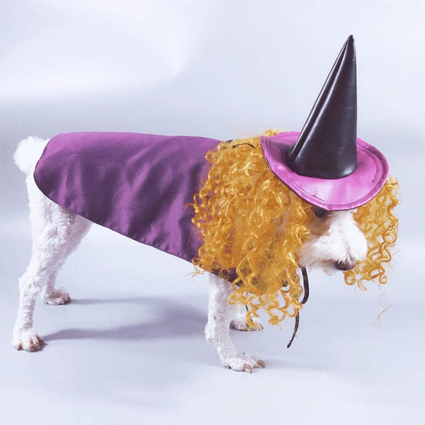side view of white dog wearing purple witch dog halloween costume