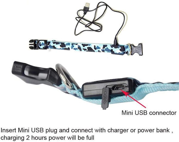 USB Charger Solar LED Dog Collar