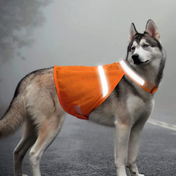 Orange Fluorescent Dog Safety Vest