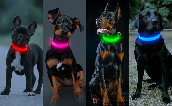 red, pink, green and blue led dog collars