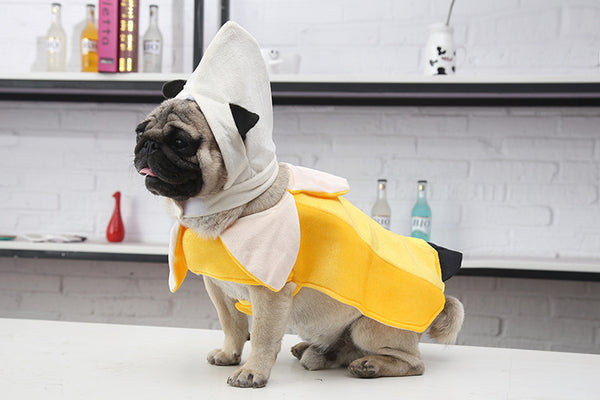 Dog Sitting In Banana Dog Costume