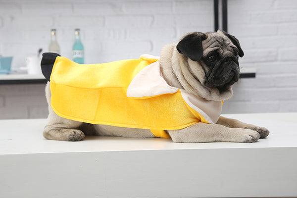 Dog Laying In Banana Costume