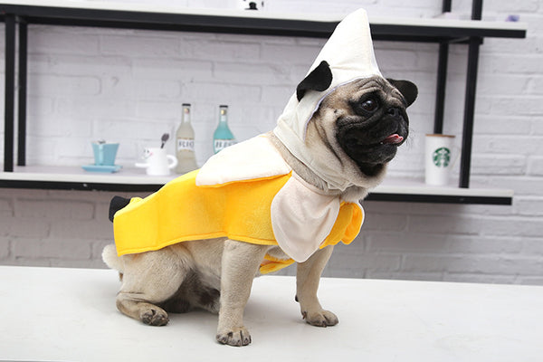 Dog Sitting In Banana Costume for Dogs