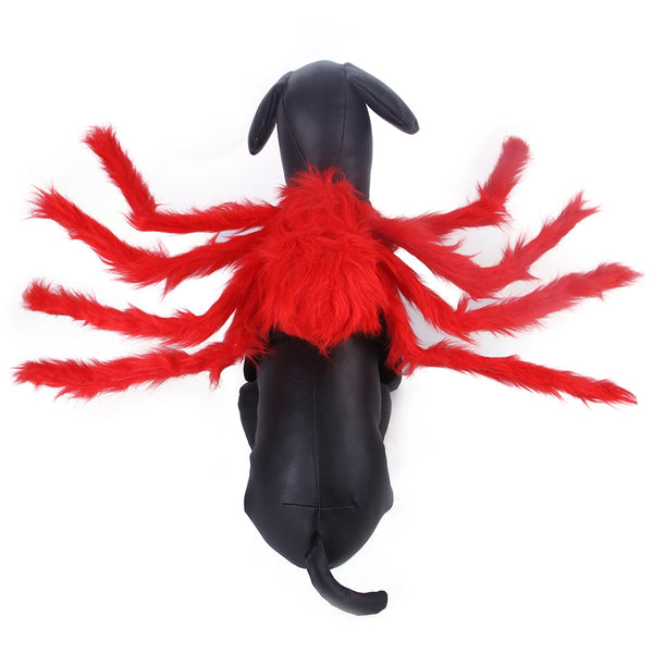 Red Spider Cat Costume