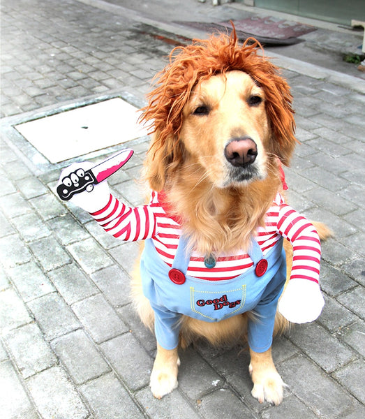 Brown Dog Chucky Outfit