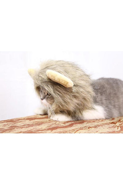 Lion's Mane Cat Costume