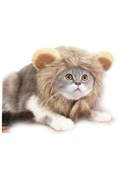Cat In Lion Mane Costume