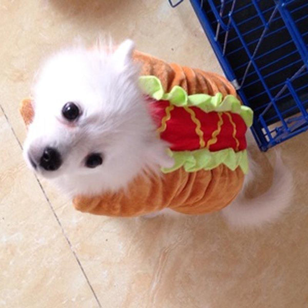 Dog In Cat Hot Dog Costume