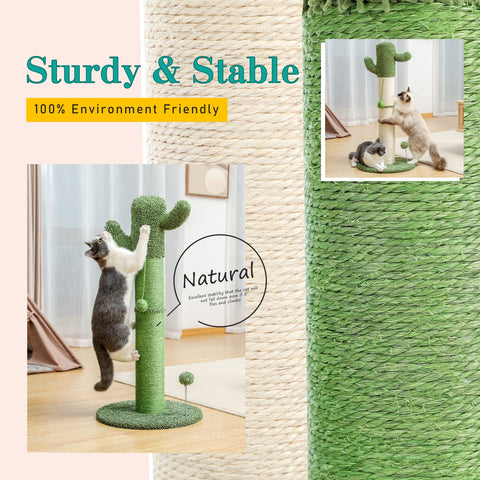 cactus scratching post