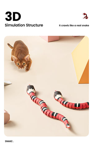 cat snake