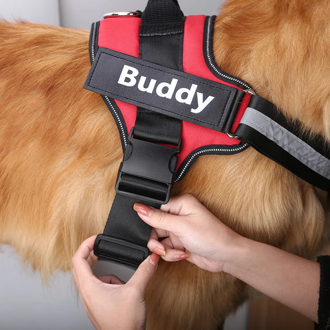 harnais-chien-DogHarness-personnalisable