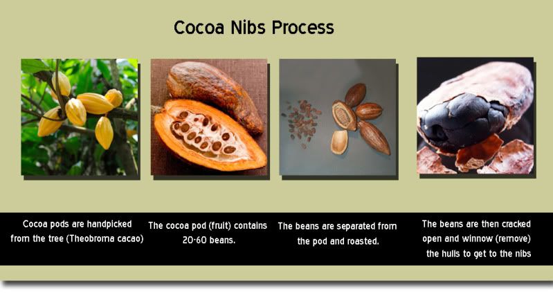 Cocoa Nib Process