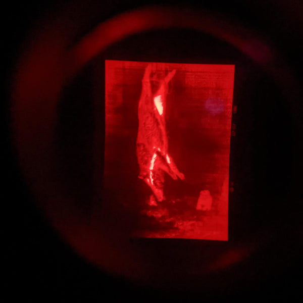 Nachtjagd auf Schwarzwild - ein Jagawams-Rotlichtfilter im Einsatz an einer Wärmebildkamera, um die Fähigkeiten des Auges zum Dämmerungssehen nicht zu beeinträchtigen.