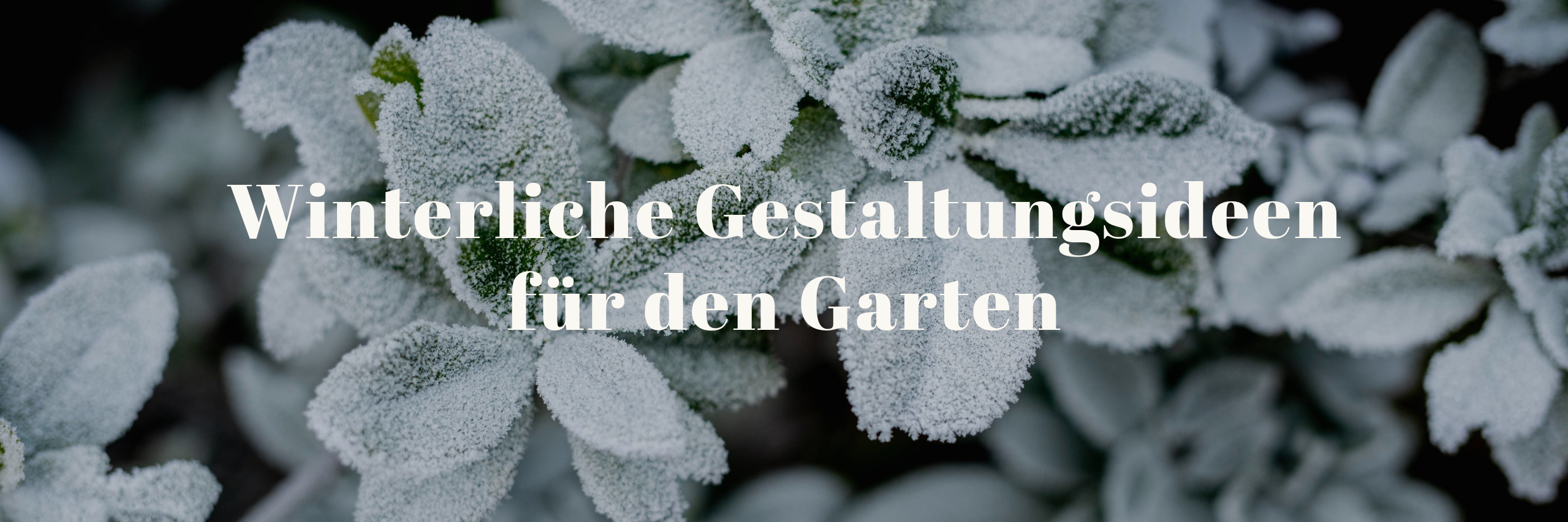 Winterliche Gestaltungsideen für den Garten