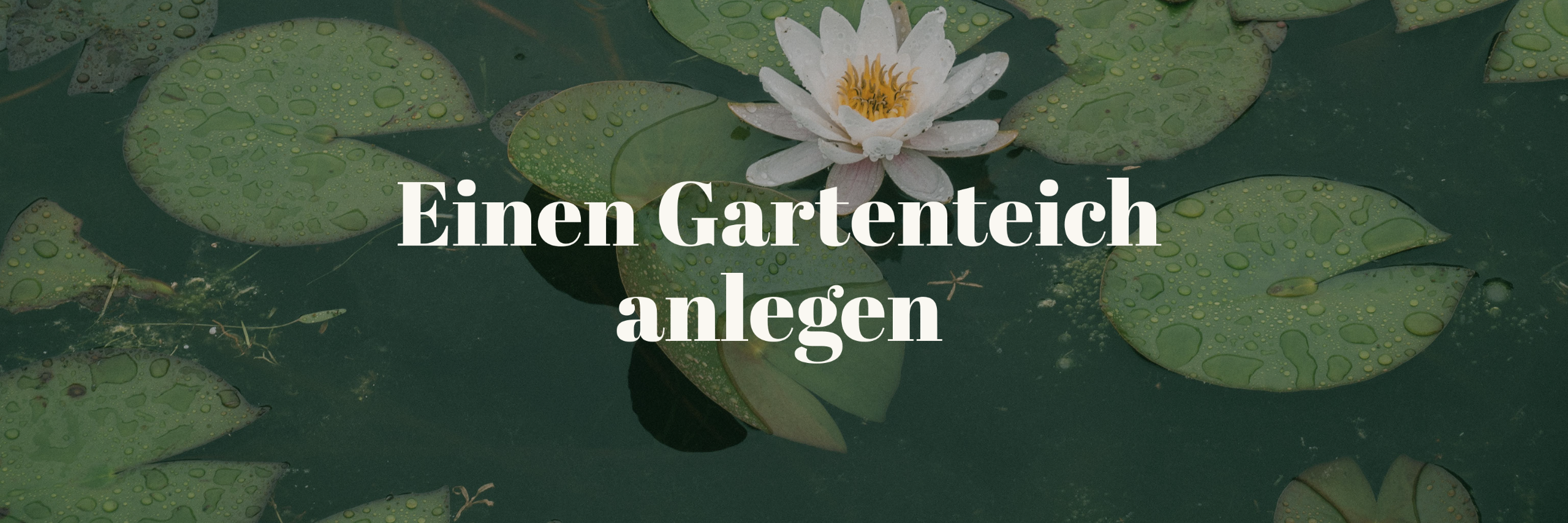 Titelbild Gartenteich anlegen