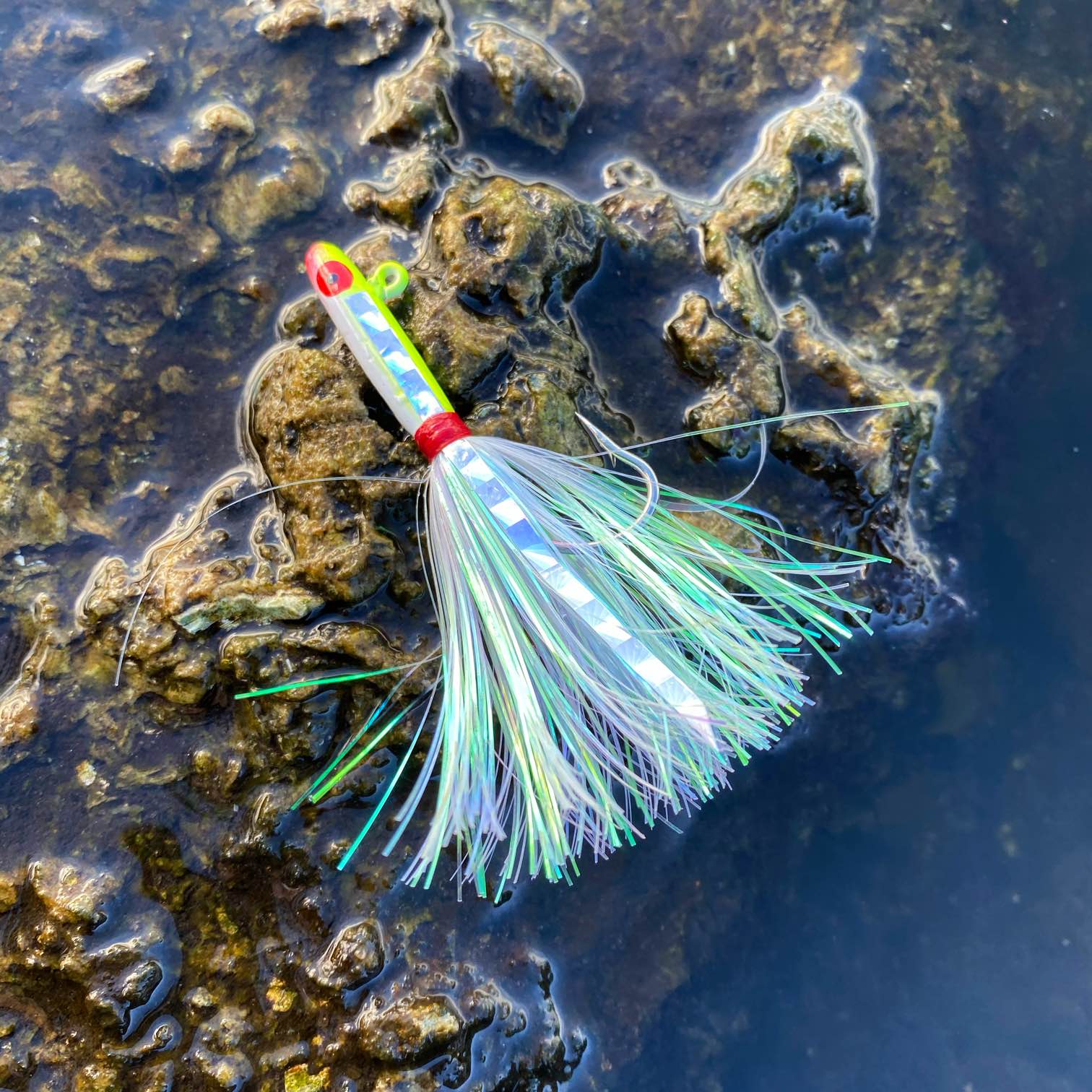 Tsunami Glass Minnow Lure Master