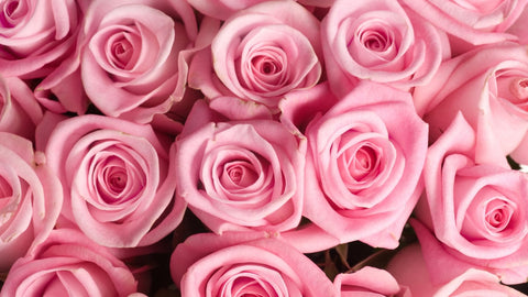 Roses - idée saint valentin femme