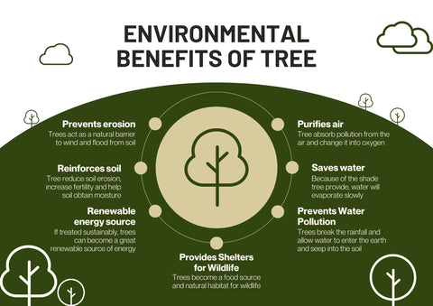 lutter contre la déforestation consiste à replanter des arbres