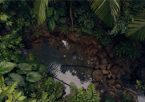 Lutter contre la déforestation