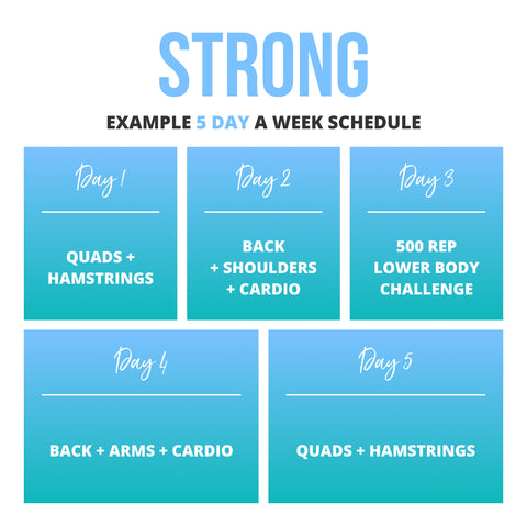 Strong Program Schedule 2