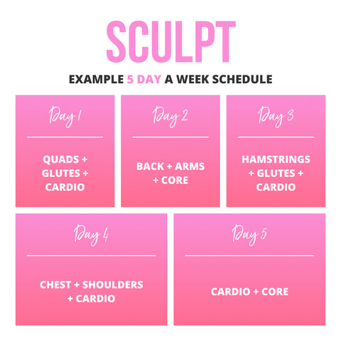 Sculpt Program Schedule 1