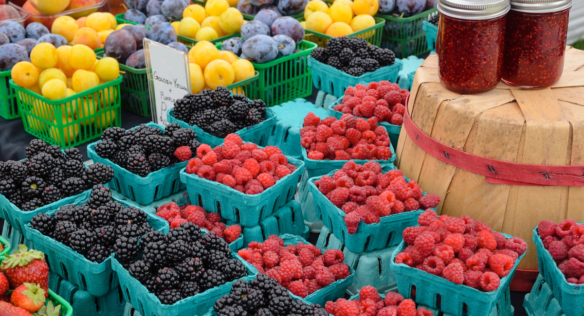 On Fit Body's Registered Dietitian Grocery List: Berries
