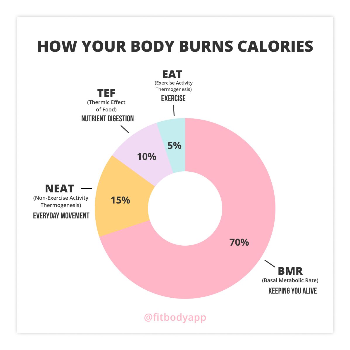 How Many Calories Do You Actually Need Body Love Group