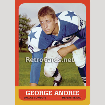 Lot Detail - 1970-71 George Andrie Dallas Cowboys Game-Used Jersey