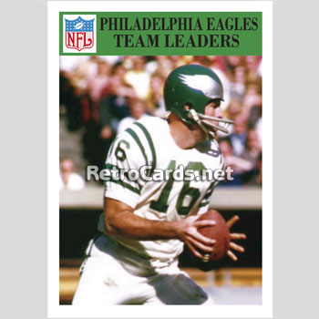 Lot Detail - Mid 1960s Tom Woodeshick Philadelphia Eagles Game